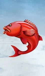 Ice Fishing