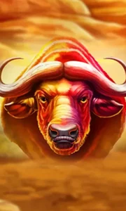 Buffalo Hold and Win Extreme